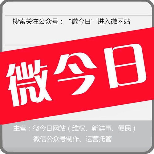合肥市微今日網(wǎng)絡服務 驅(qū)動城市數(shù)字化轉型的智慧引擎